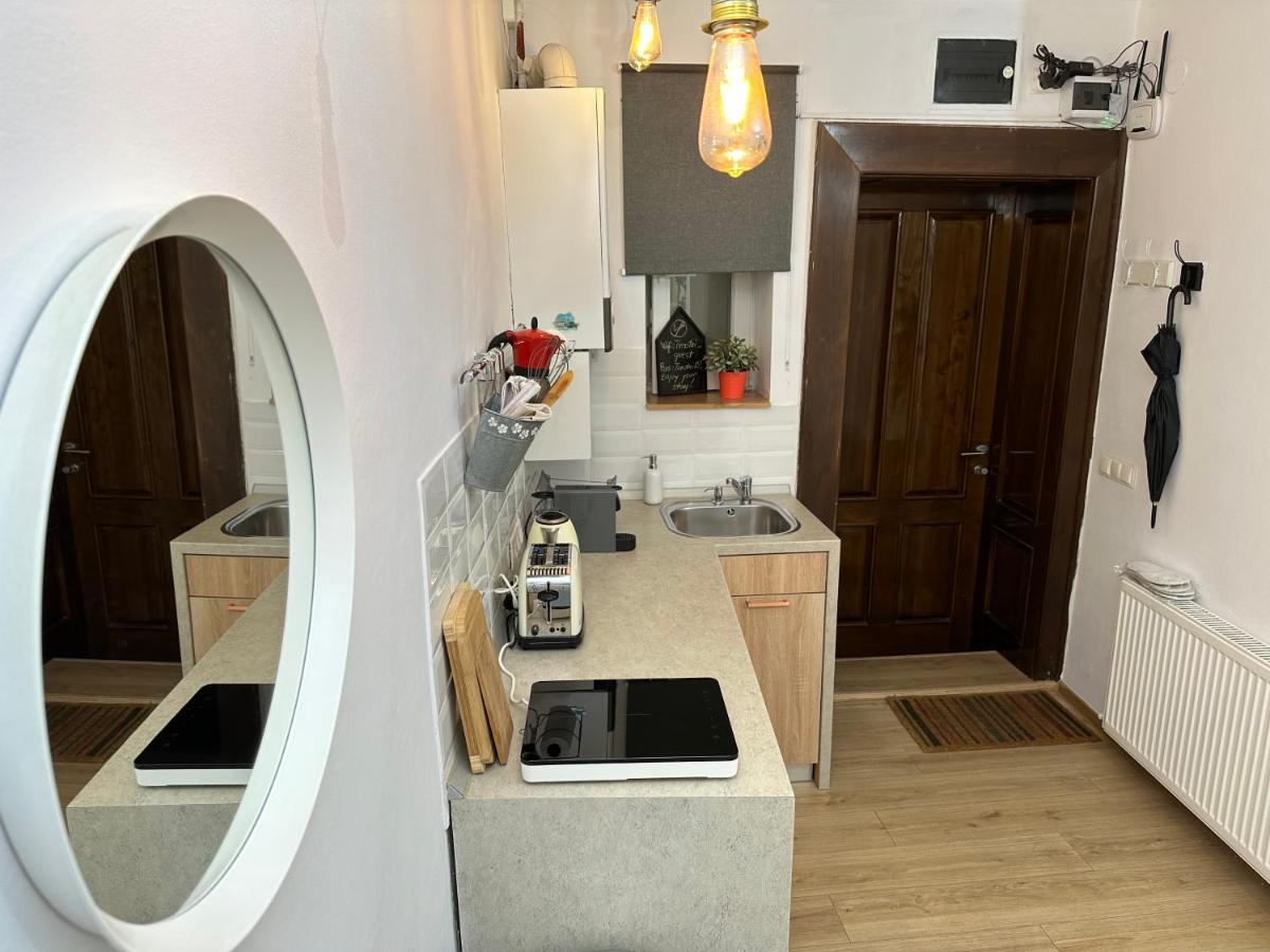 Downtown Residence Sibiu Extérieur photo